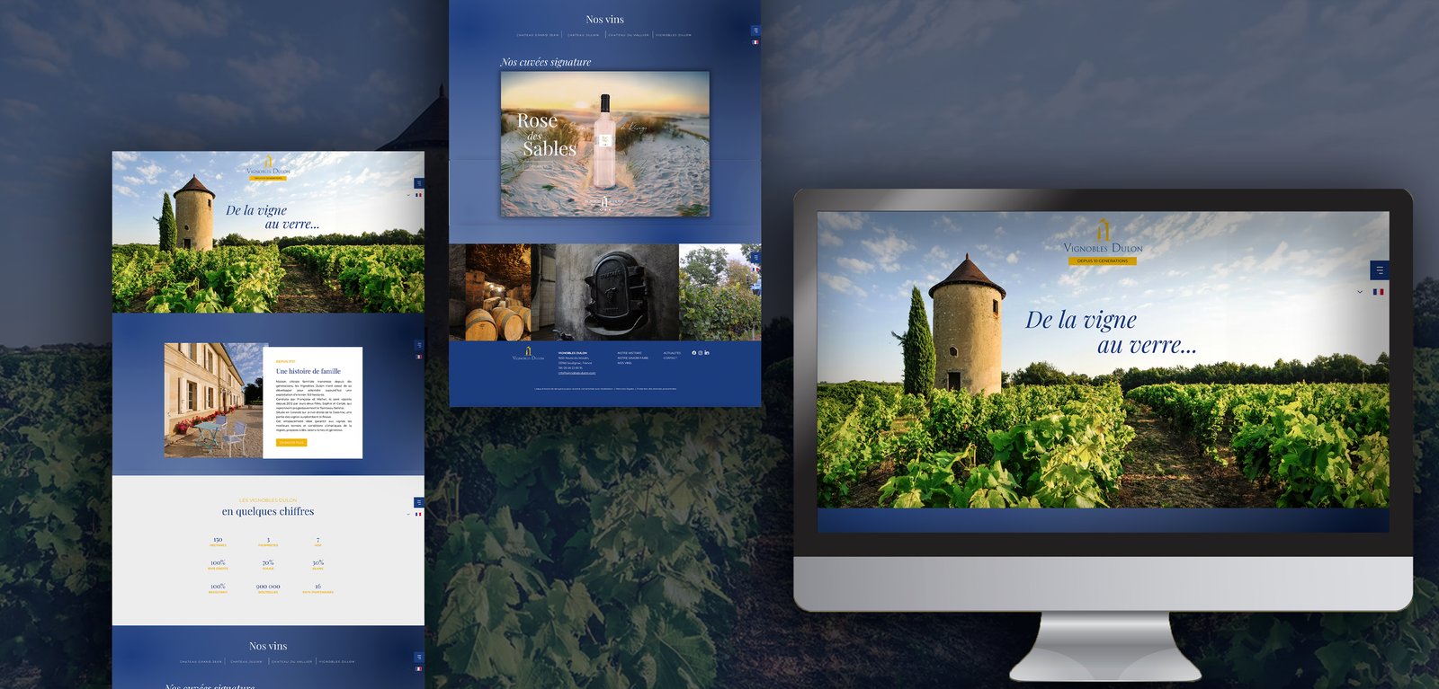 Site web Vignobles Dulon