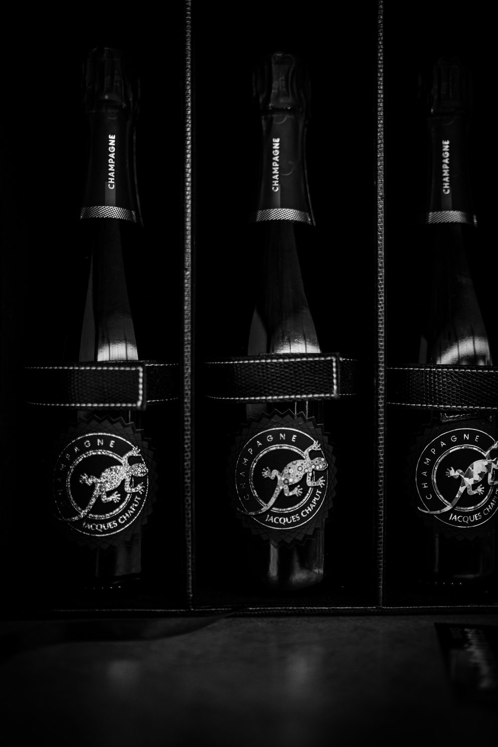 Champagne Chaput photography